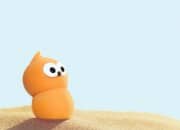 edf_zingy